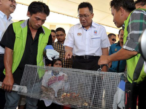 Rahman Dahlan melihat beberapa ekor tikus yang berjaya ditangkap sempena program Kempen Kawalan Tikus peringkat kebangsaan di Pekan Menggatal. - Foto Bernama 